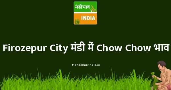 Chow Chow भाव